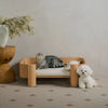 Ashwood Anti friction loop fleece Pet Bedding High Density Foam Ancient Roman style