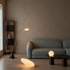 Baopuzi Floor Lamp Table Lamp Series