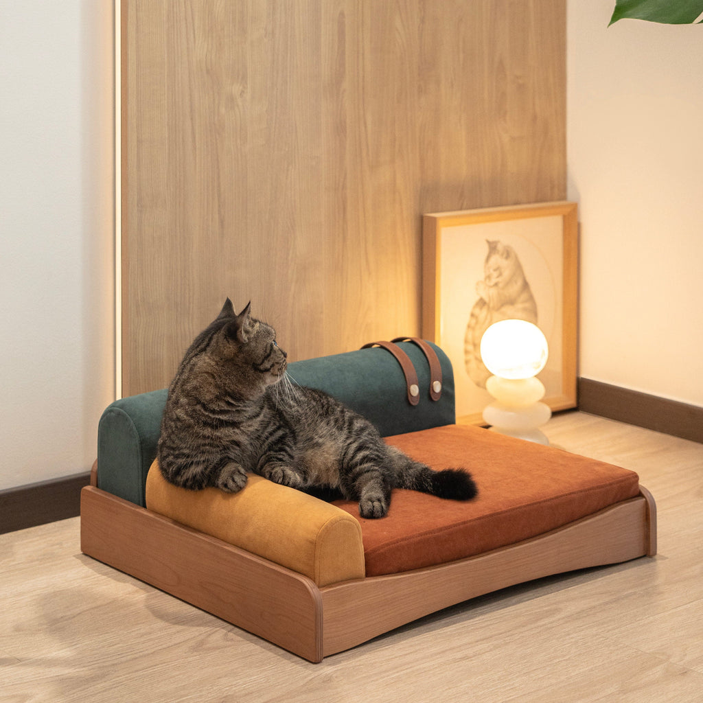 Cat lounging on Pippa Pet Daybed Pet Furniture