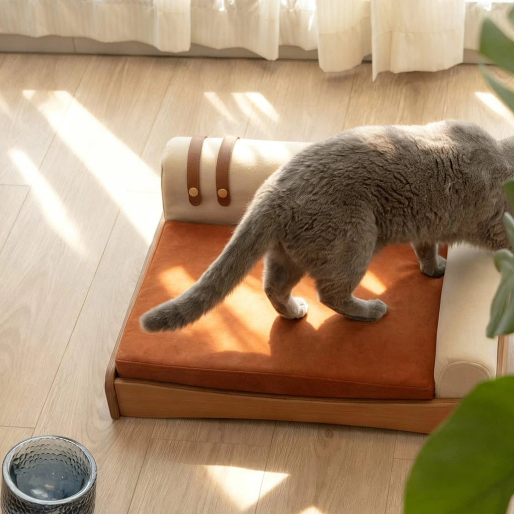 Cat playing on pet bed