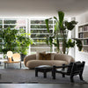 Ch Elephant Armchair Black Living Area