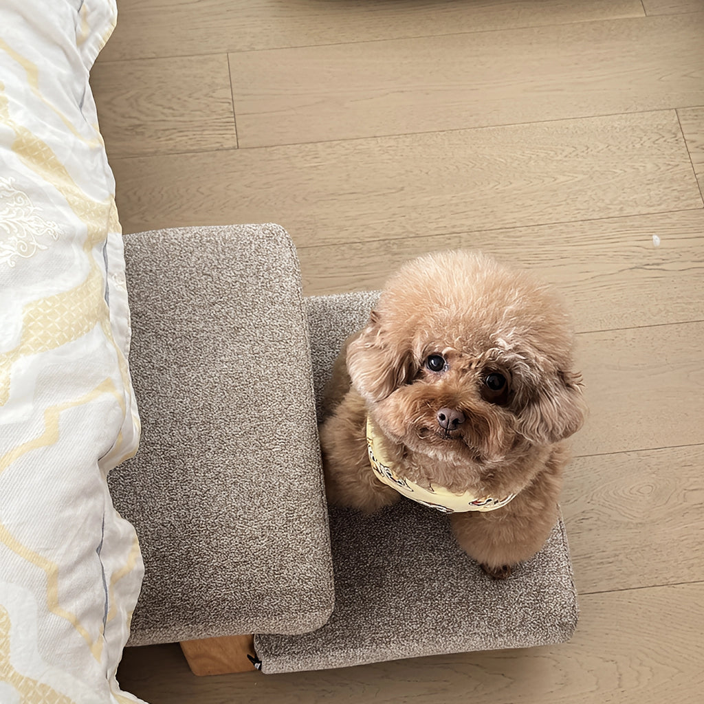 Pet Ladder Plywood Cocoa high density looped fleece fabric