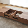 CARPE Wood Modern Coffee Table Storage System